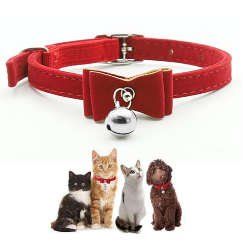 Qpets Cat Collar, Adjustable Cat Belt, Strong Breakaway Buckle Cat Collar with Bell, Velvet Neck Strap Cats Collar Soft Plush Collar Cat Gift (Total Length 36CM/14.17in) Qpets Cat Collar, Adjustable Cat Belt, Strong Breakaway Buckle Cat Collar with Bell, Velvet Neck Strap Cats Collar Soft Plush Collar Cat Gift (Total Length 36CM/14.17in)
